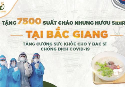 Tặng 7500 suất cháo Nhung Hươu Sibiri