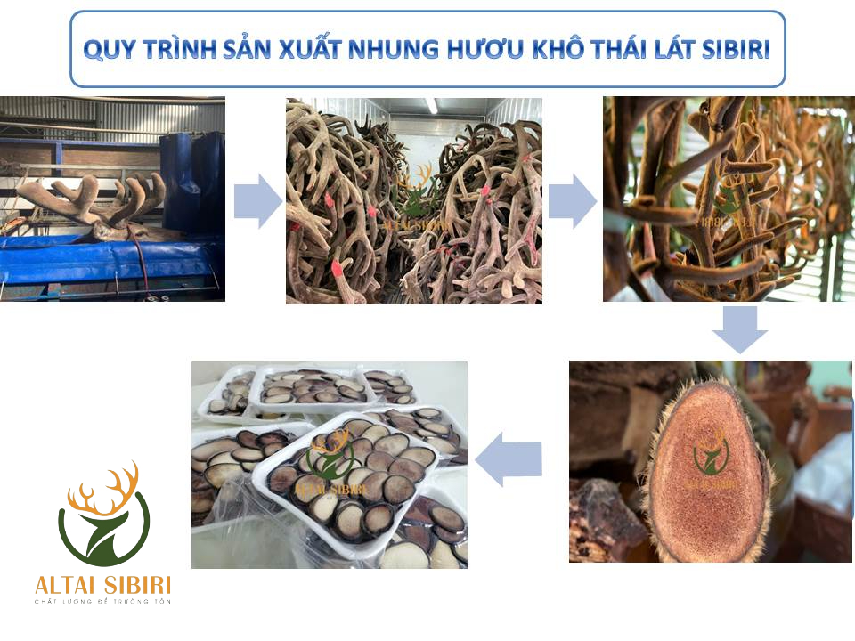 pp bột nhung